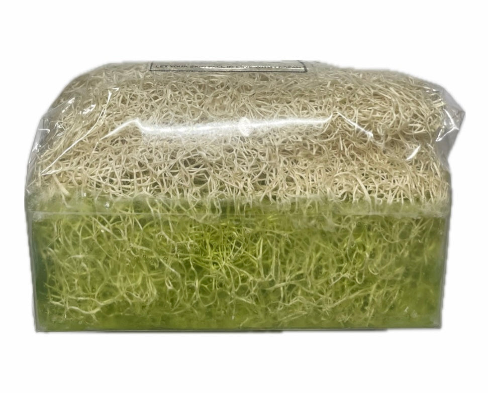 Aloe vera pompoenvezelzeep