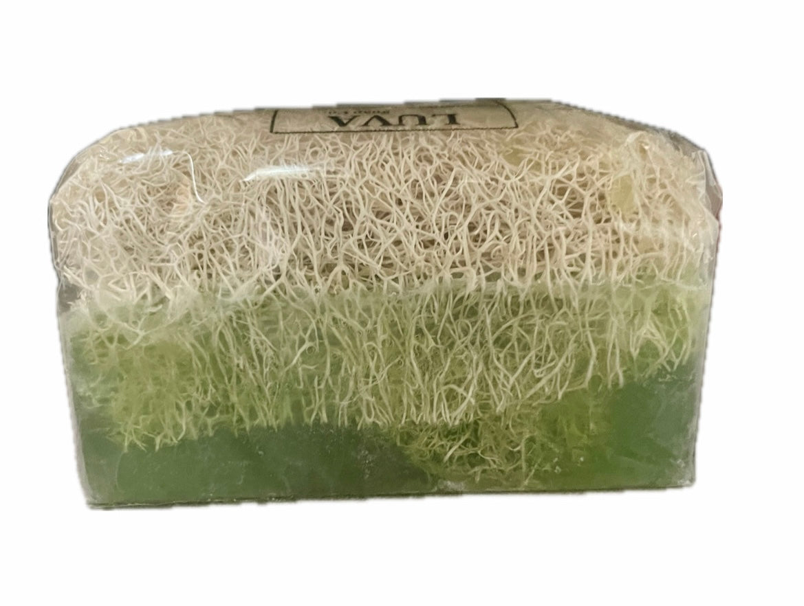 Aloe vera pompoenvezelzeep